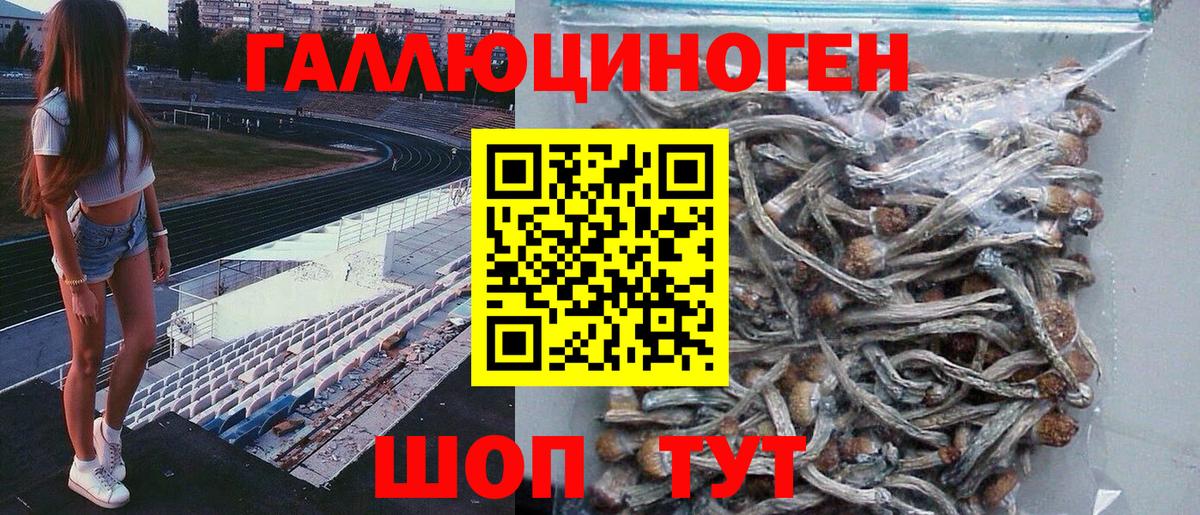 Чебоксары  Галлюциногенные грибы ЛСД  Вход с VPN 